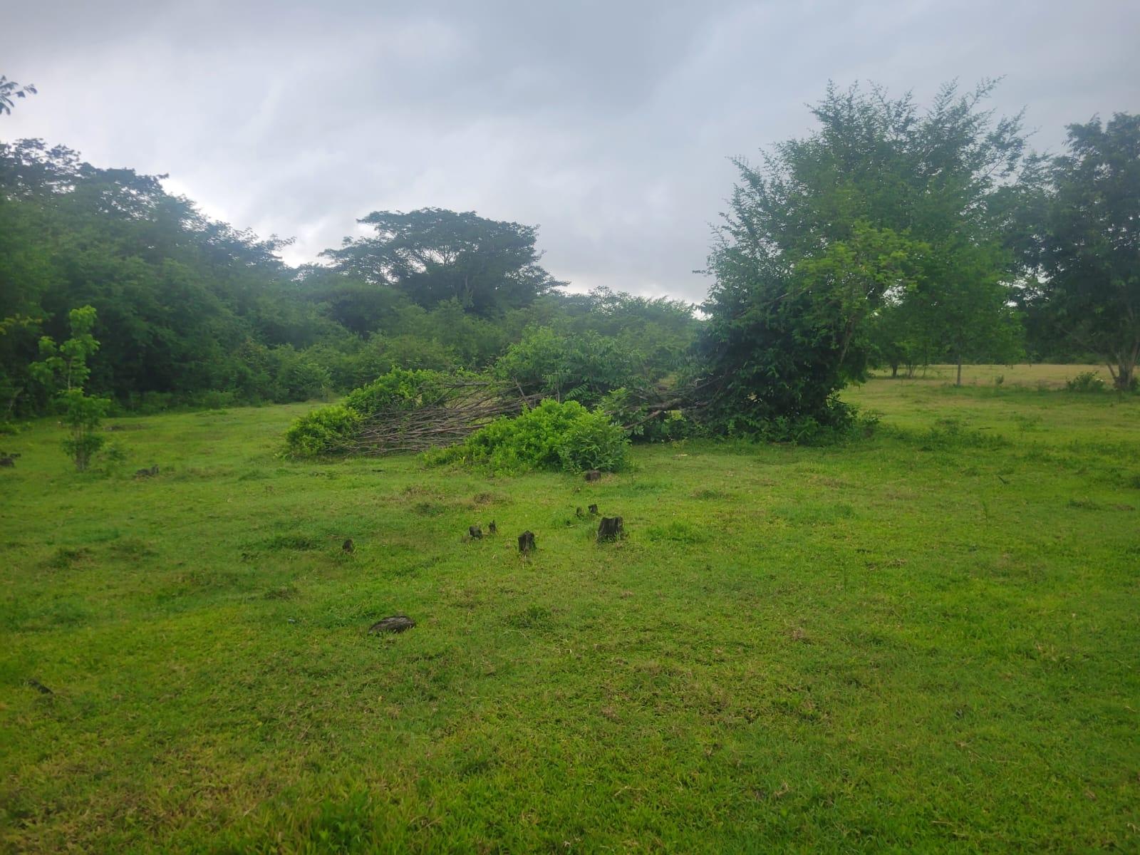 Fifth image of 106 Old Hope in OLD HOPE PEN, Westmoreland, Jamaica - property is For Sale