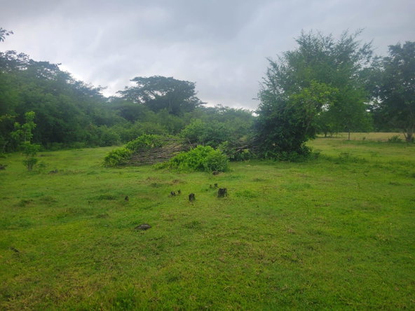 Fifth image of 106 Old Hope in OLD HOPE PEN, Westmoreland, Jamaica - property is For Sale