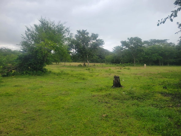 Sixth image of 106 Old Hope in OLD HOPE PEN, Westmoreland, Jamaica - property is For Sale