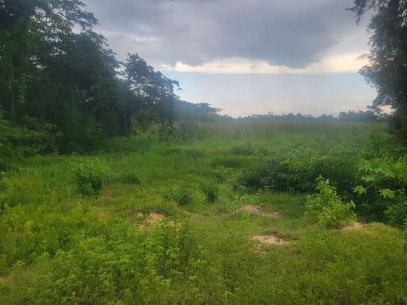Seventh image of 106 Old Hope in OLD HOPE PEN, Westmoreland, Jamaica - property is For Sale