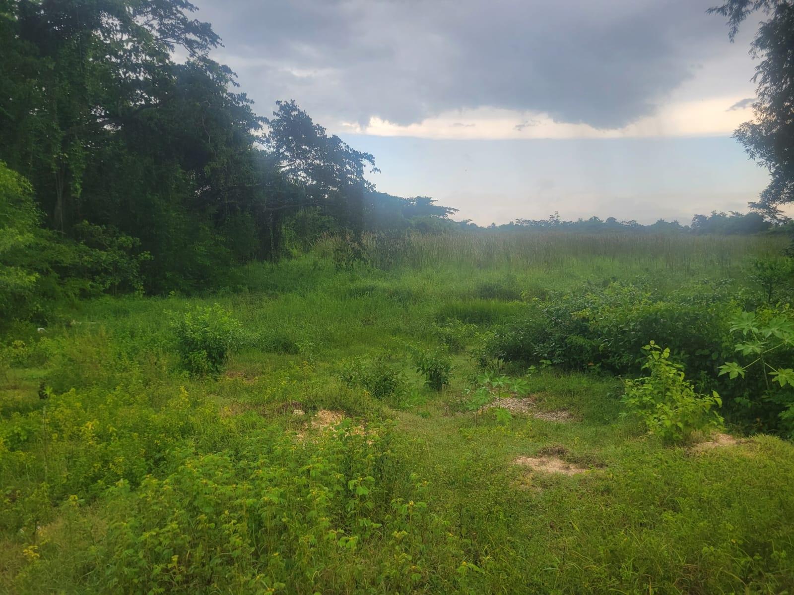 Eighth image of 106 Old Hope in OLD HOPE PEN, Westmoreland, Jamaica - property is For Sale