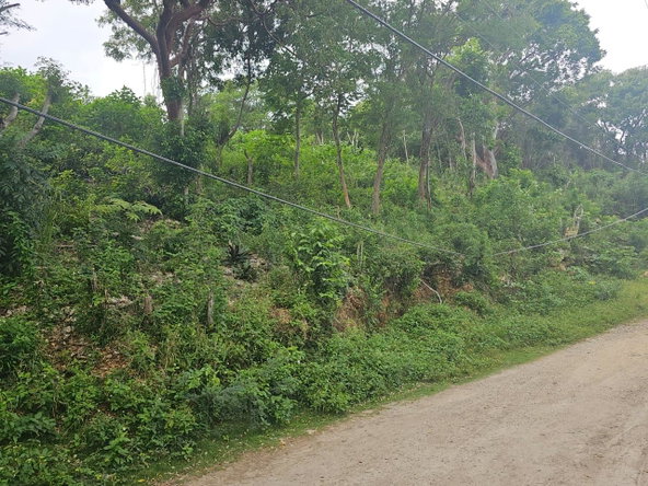 Fourth image of Wood Side Drive in Ironshore, St. James, Jamaica - property is For Sale