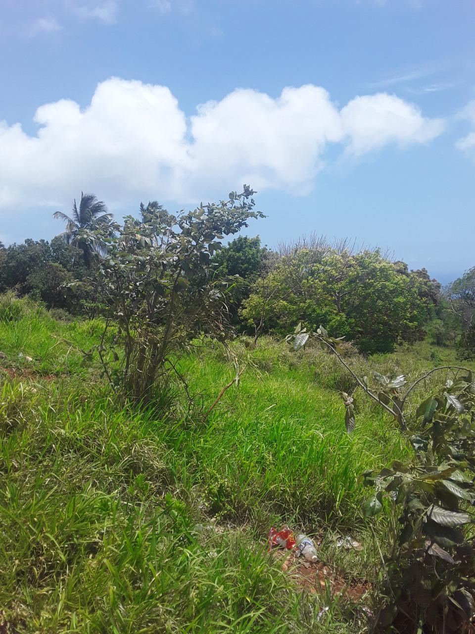 First image of Plowden Manchester in Plowden Hill, Manchester, Jamaica - property is For Sale