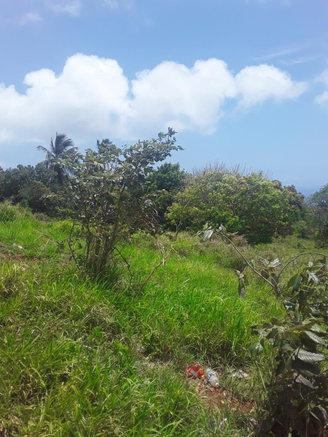First image of Plowden Manchester in Plowden Hill, Manchester, Jamaica - property is For Sale