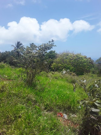 First image of Plowden Manchester in Plowden Hill, Manchester, Jamaica - property is For Sale