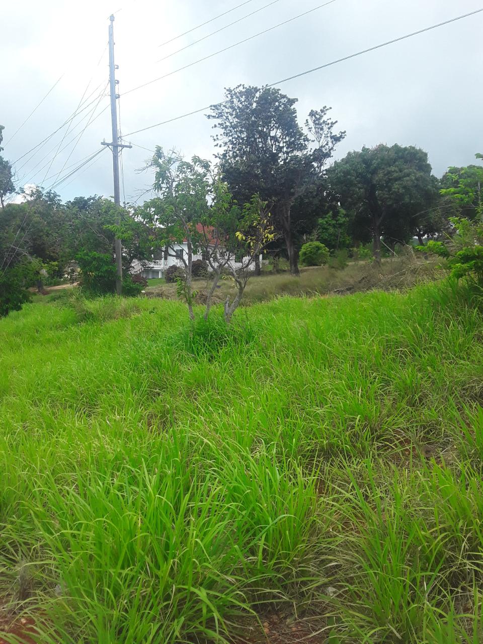Ninth image of Plowden Manchester in Plowden Hill, Manchester, Jamaica - property is For Sale