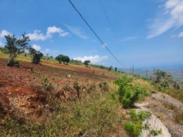 First image of 104-104 Malvern Heights in Malvern, St. Elizabeth, Jamaica - property is For Sale