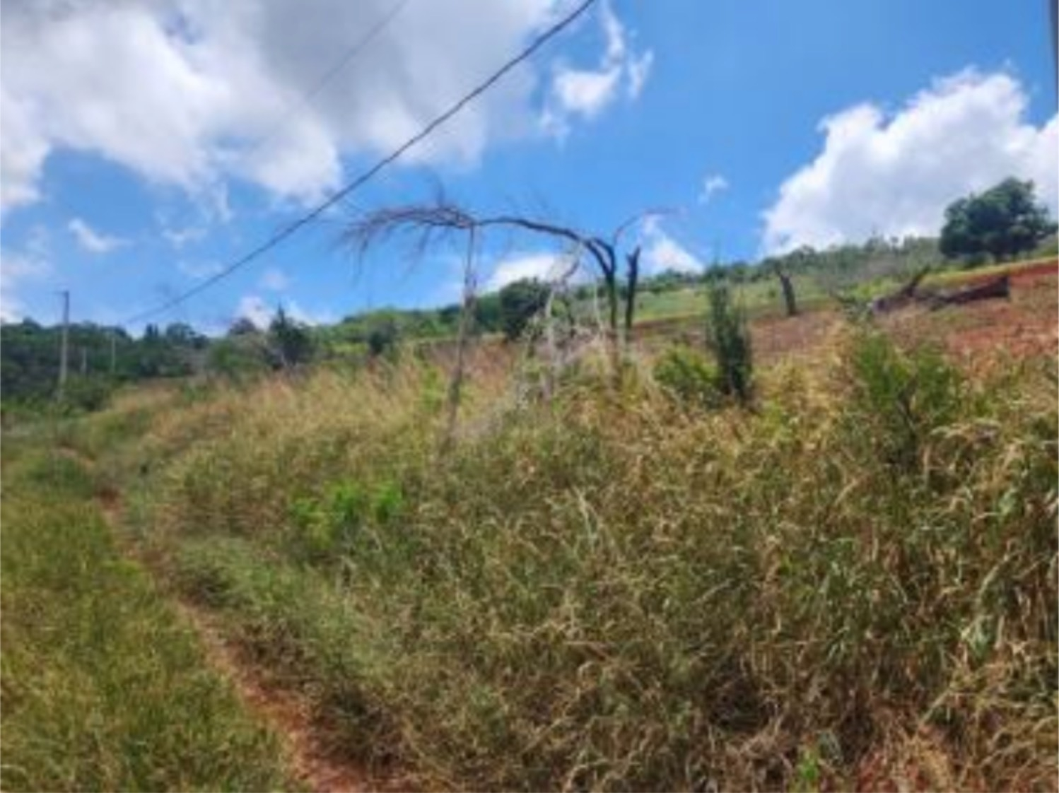 Second image of 104-104 Malvern Heights in Malvern, St. Elizabeth, Jamaica - property is For Sale