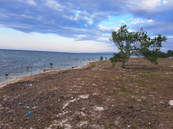 First image of Love Hall/flamingo Beach in Falmouth, Trelawny, Jamaica - property is For Sale