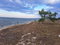 First image of Love Hall/flamingo Beach in Falmouth, Trelawny, Jamaica - property is For Sale