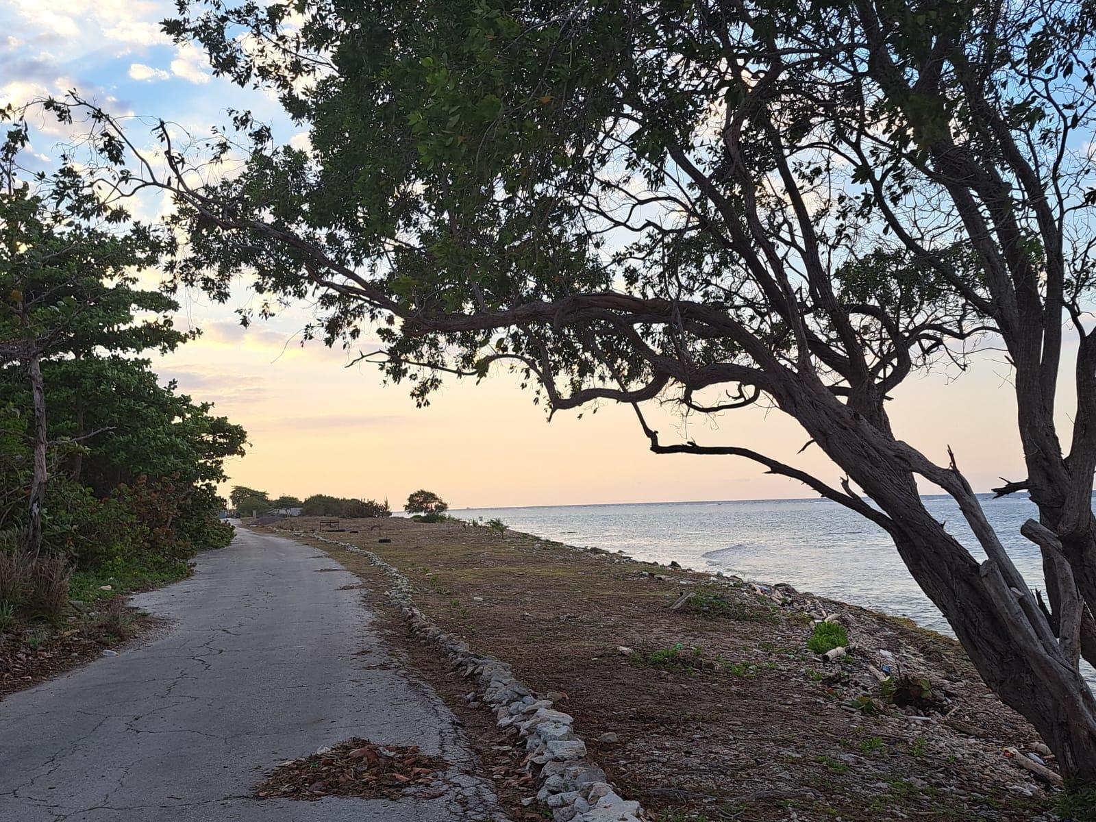 Thirteenth image of Love Hall/flamingo Beach in Falmouth, Trelawny, Jamaica - property is For Sale