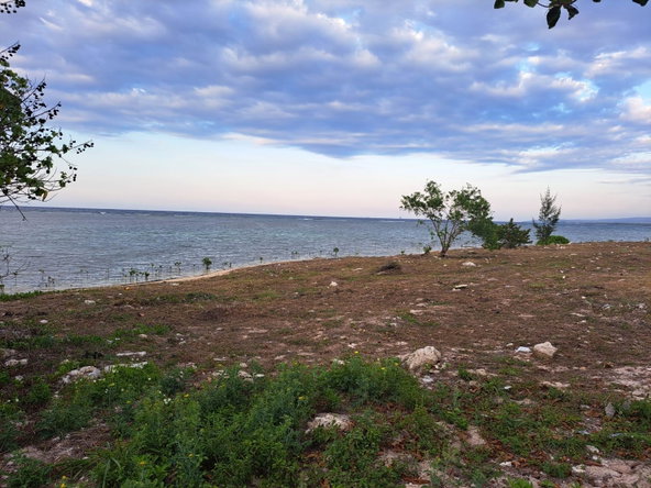 Second image of Love Hall/flamingo Beach in Falmouth, Trelawny, Jamaica - property is For Sale