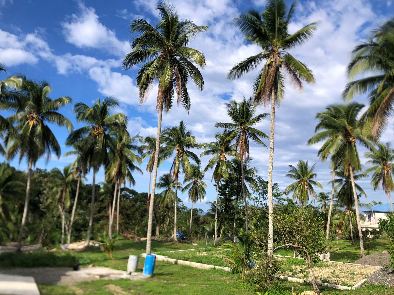 Fourth image of Lot 24 Spring Garden, Buff Bay in Buff Bay, Portland, Jamaica - property is For Sale