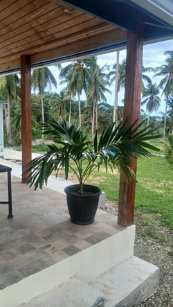 Fifth image of Lot 24 Spring Garden, Buff Bay in Buff Bay, Portland, Jamaica - property is For Sale