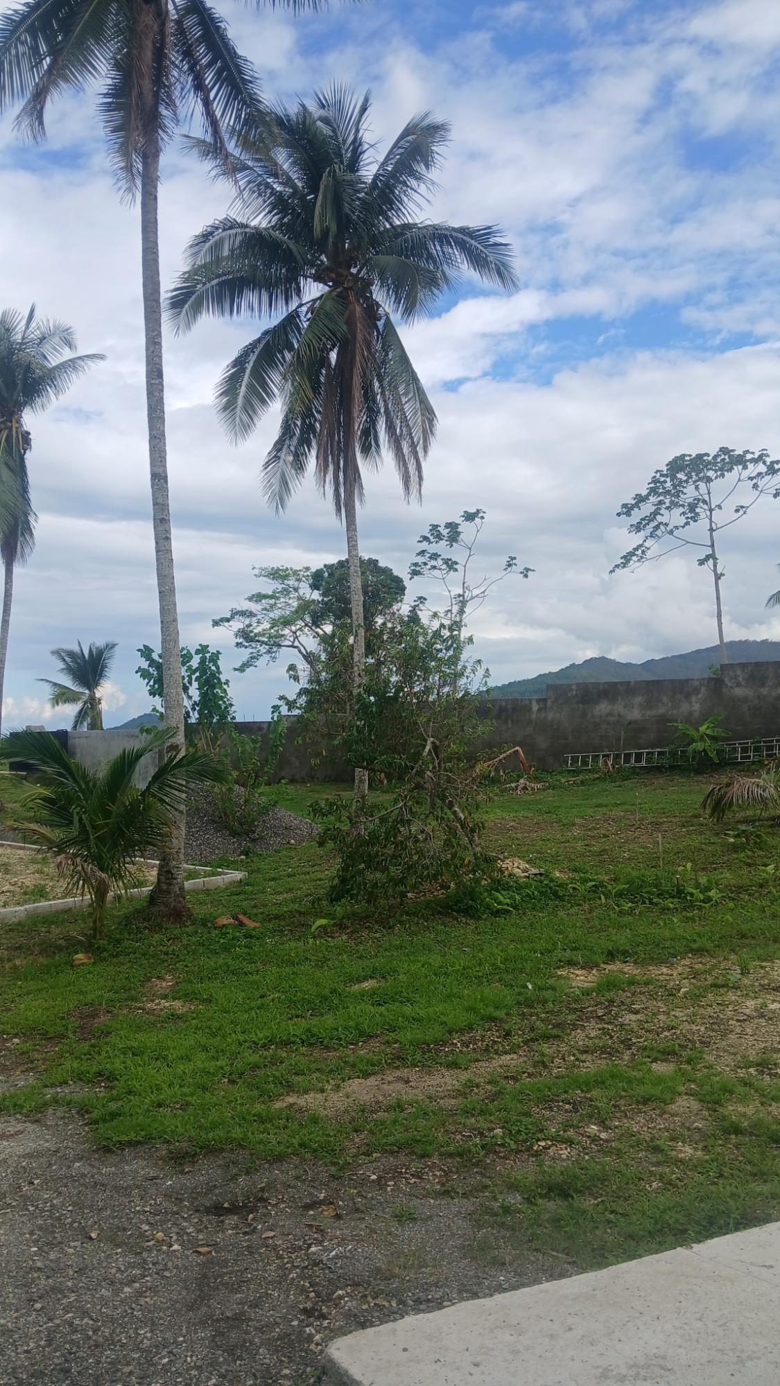 Sixth image of Lot 24 Spring Garden, Buff Bay in Buff Bay, Portland, Jamaica - property is For Sale