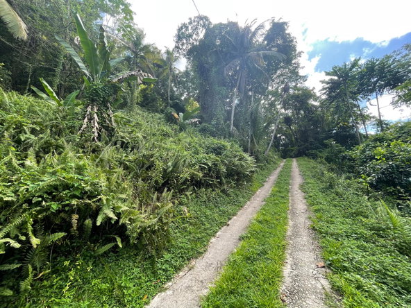 Second image of 2 Anchovy in Anchovy, St. James, Jamaica - property is For Sale