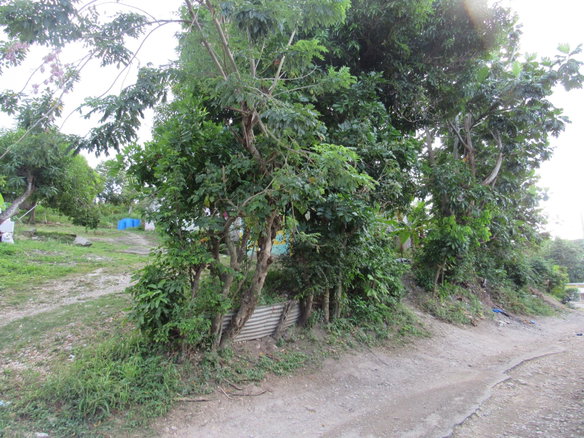 First image of Part of Dalvey, St. Thoma in Dalvey, St. Thomas, Jamaica - property is For Sale
