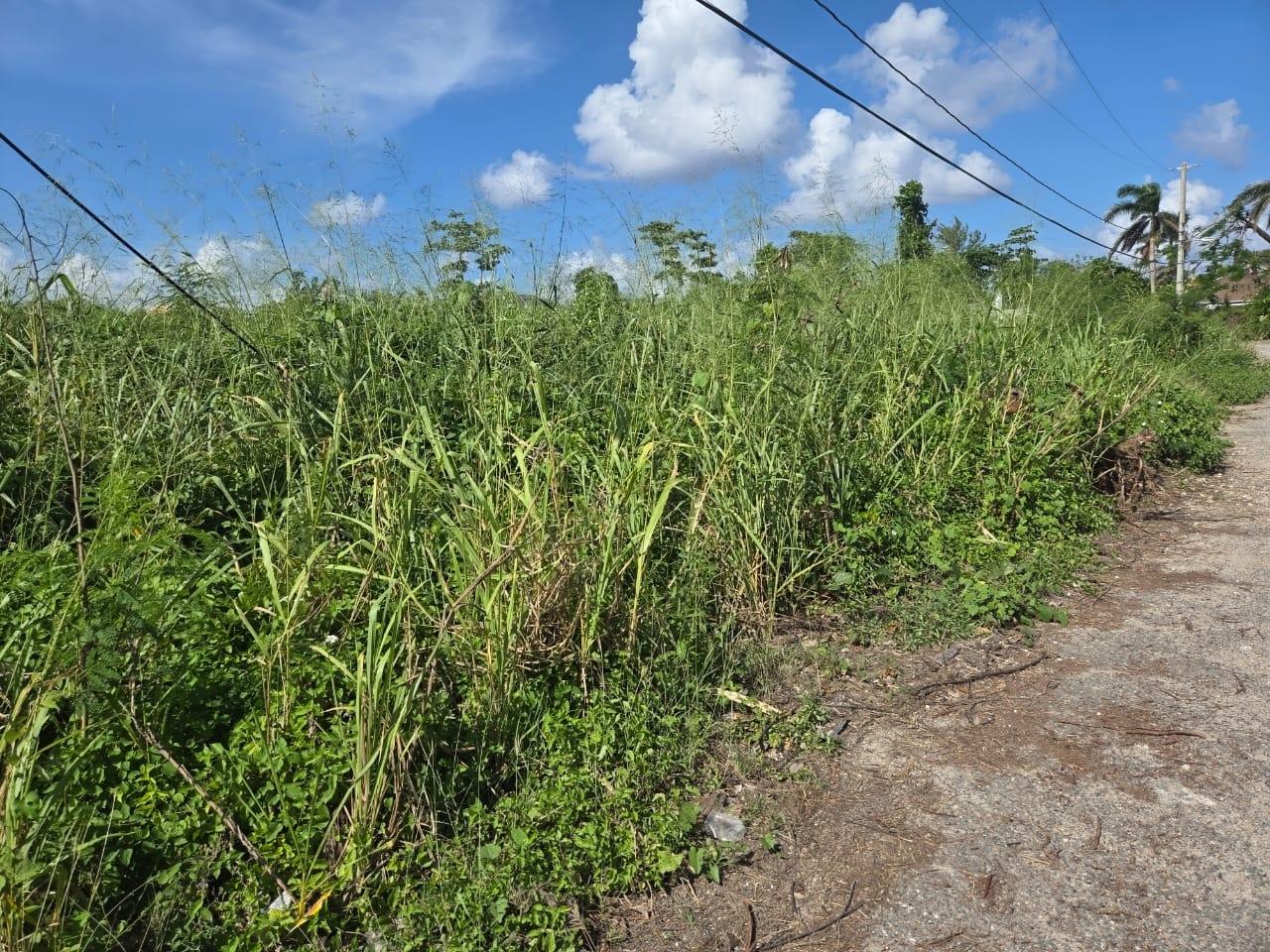 Tenth image of 15a- Mammee Bay, St. Ann in Mammee Bay, St. Ann, Jamaica - property is For Sale