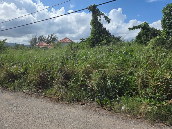 Thirteenth image of 15a- Mammee Bay, St. Ann in Mammee Bay, St. Ann, Jamaica - property is For Sale