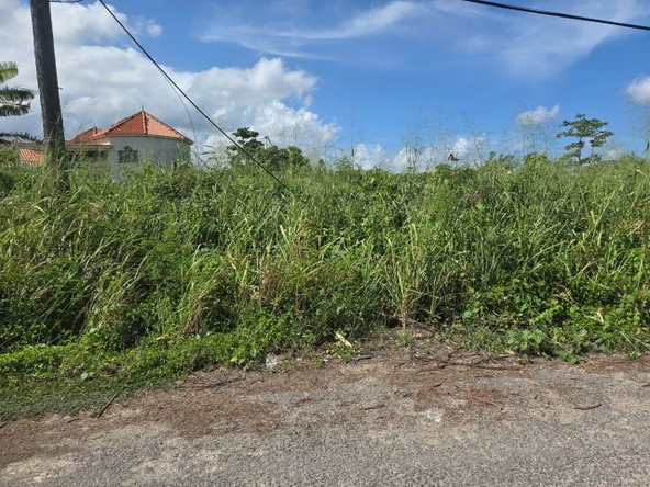Sixth image of 15a- Mammee Bay, St. Ann in Mammee Bay, St. Ann, Jamaica - property is For Sale