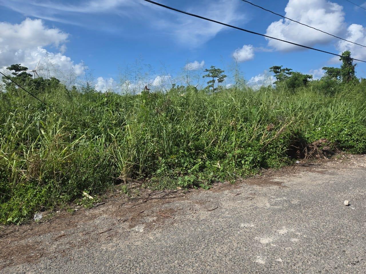 Seventh image of 15a- Mammee Bay, St. Ann in Mammee Bay, St. Ann, Jamaica - property is For Sale