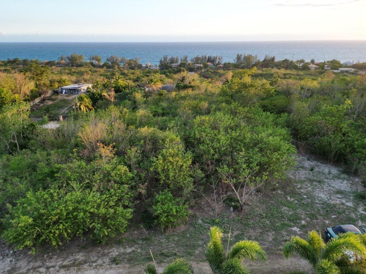 Third image of 66 Pitkelleney Negril in Negril, Westmoreland, Jamaica - property is For Sale