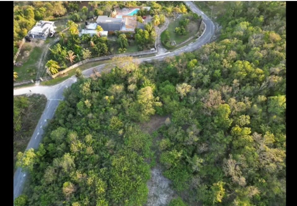 Eighth image of 66 Pitkelleney Negril in Negril, Westmoreland, Jamaica - property is For Sale