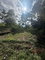 First image of 43-wentworth St. Mary in Port Maria, St. Mary, Jamaica - property is For Sale