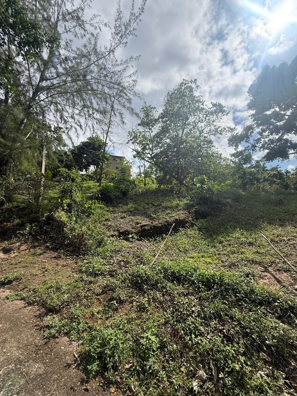 Second image of 43-wentworth St. Mary in Port Maria, St. Mary, Jamaica - property is For Sale