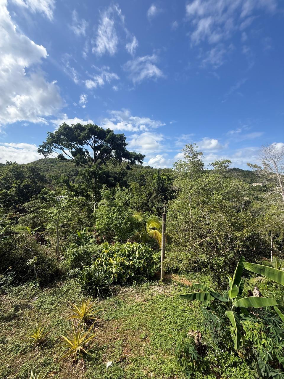 Third image of 43-wentworth St. Mary in Port Maria, St. Mary, Jamaica - property is For Sale