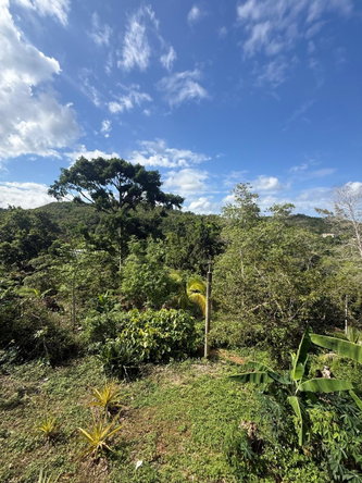Third image of 43-wentworth St. Mary in Port Maria, St. Mary, Jamaica - property is For Sale