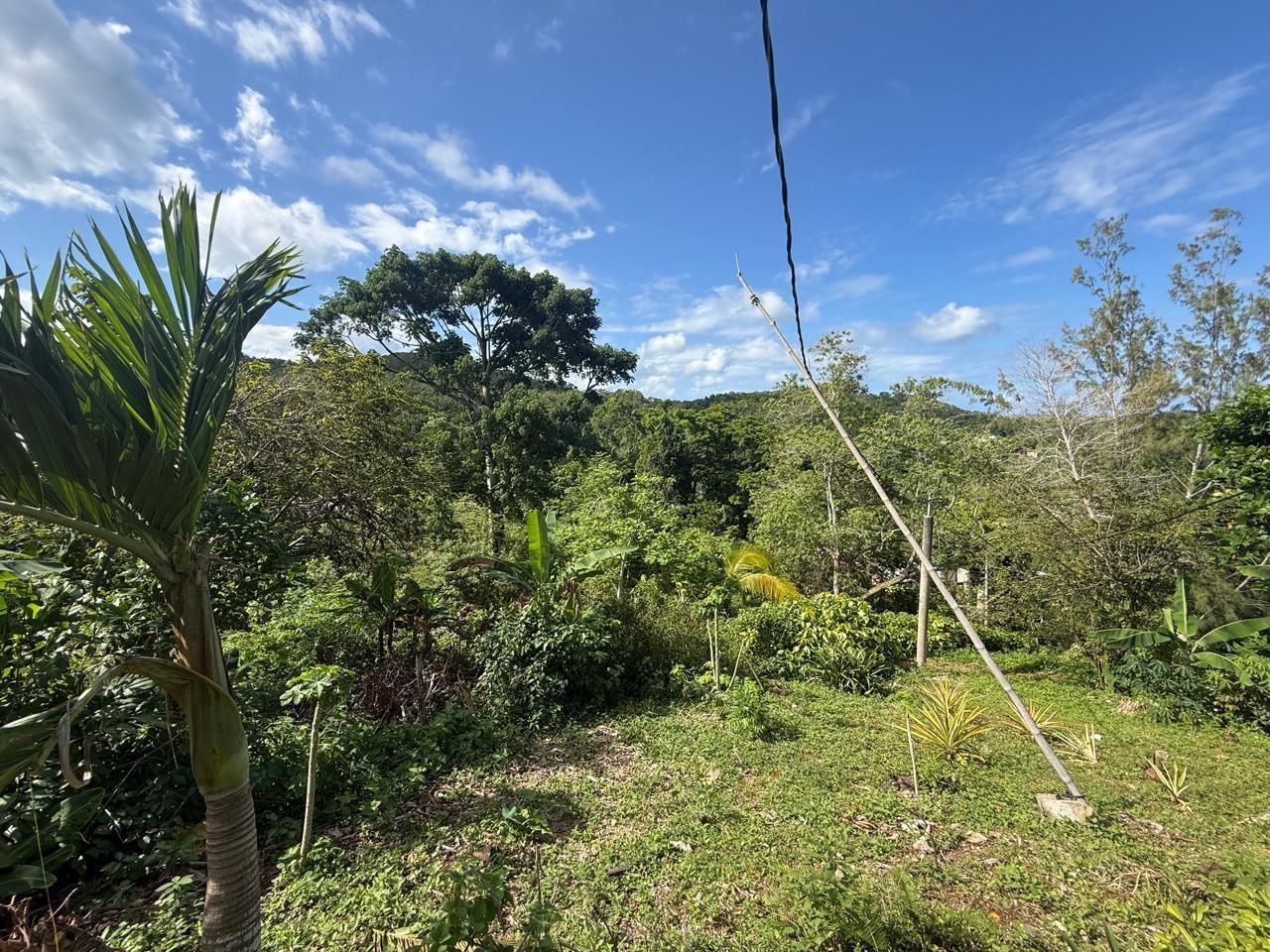 Fourth image of 43-wentworth St. Mary in Port Maria, St. Mary, Jamaica - property is For Sale