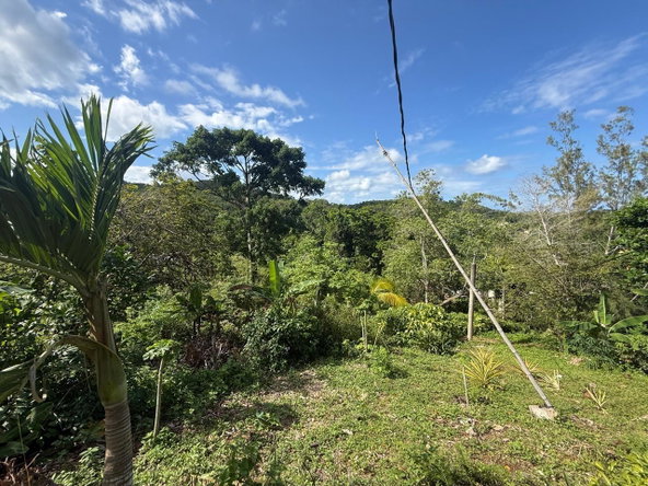 Fourth image of 43-wentworth St. Mary in Port Maria, St. Mary, Jamaica - property is For Sale