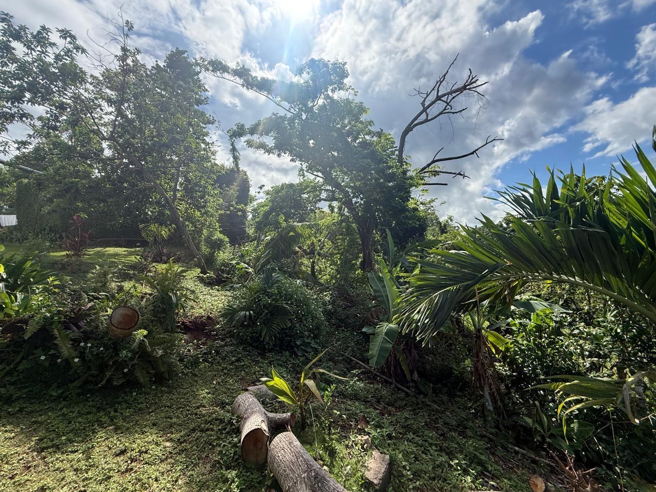Fifth image of 43-wentworth St. Mary in Port Maria, St. Mary, Jamaica - property is For Sale