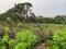 First image of 27 Greenside Trelawny in Greenside, Trelawny, Jamaica - property is For Sale