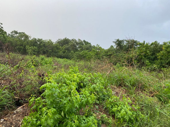 Second image of 27 Greenside Trelawny in Greenside, Trelawny, Jamaica - property is For Sale