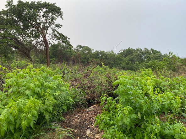 Third image of 27 Greenside Trelawny in Greenside, Trelawny, Jamaica - property is For Sale