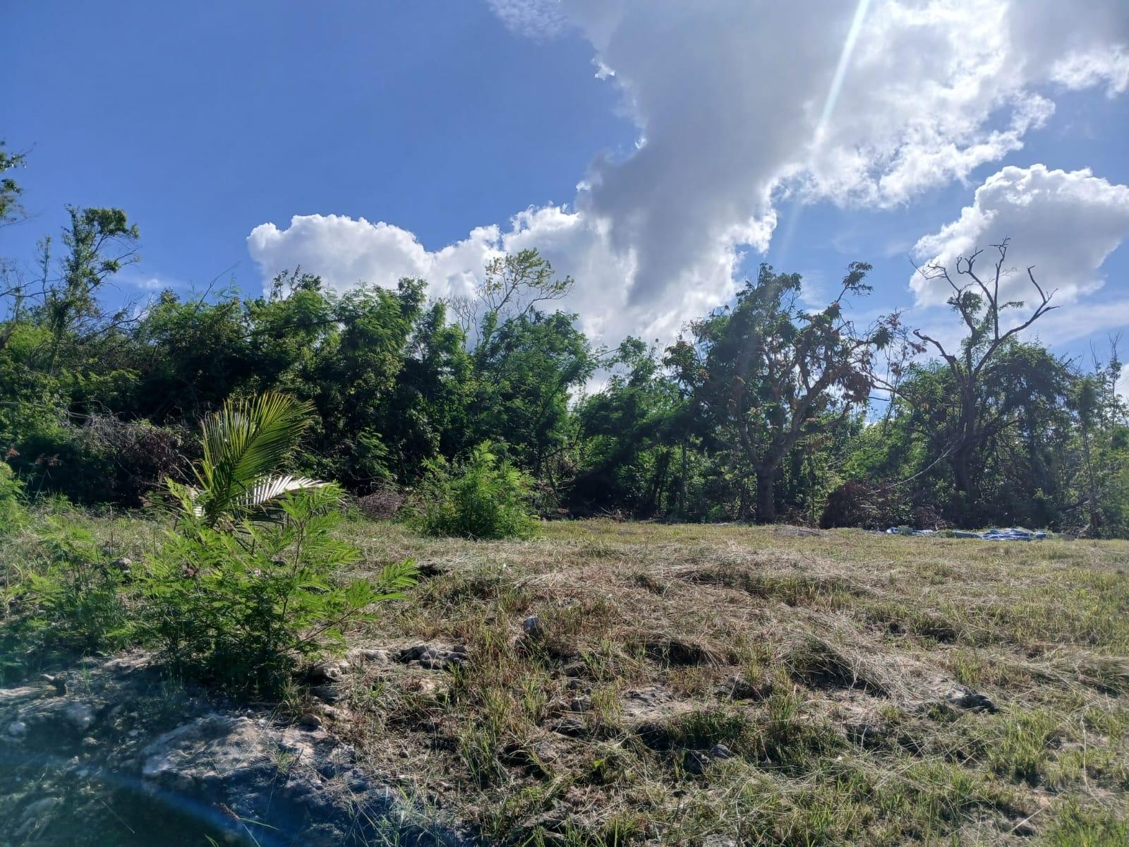 Twenty-Third image of Lot 8 Upper Sugar Mill rd in Ironshore, St. James, Jamaica - property is For Sale