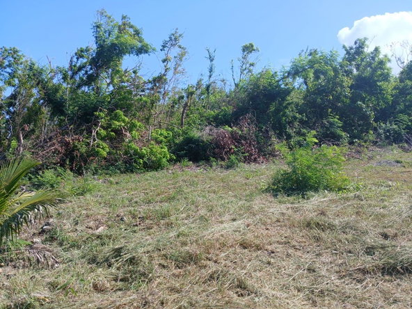 Twenty-Fifth image of Lot 8 Upper Sugar Mill rd in Ironshore, St. James, Jamaica - property is For Sale