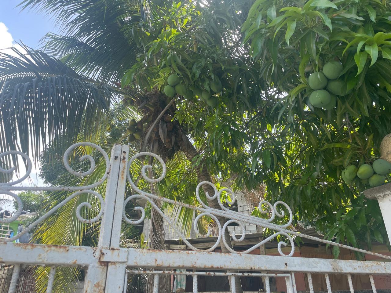 Sixteenth image of 724a Rose Heights in Rose Heights, St. James, Jamaica - property is For Sale