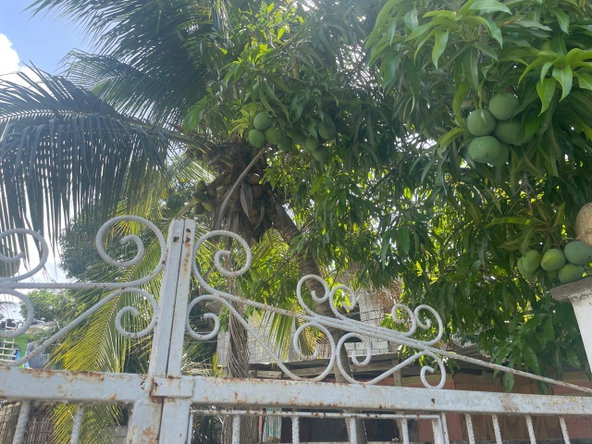Sixteenth image of 724a Rose Heights in Rose Heights, St. James, Jamaica - property is For Sale