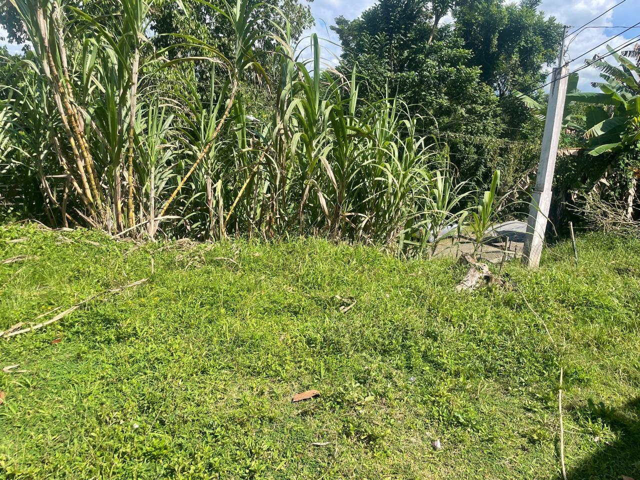 Twelfth image of 85 Bethel Town in Bethel Town, Westmoreland, Jamaica - property is For Sale