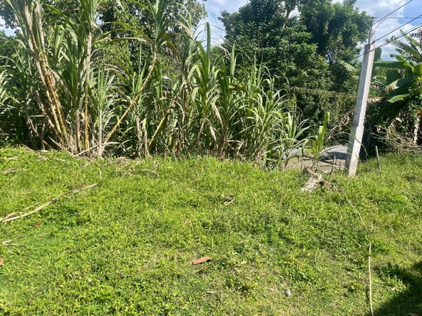 Twelfth image of 85 Bethel Town in Bethel Town, Westmoreland, Jamaica - property is For Sale