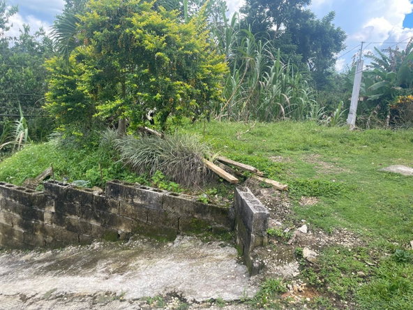 Thirteenth image of 85 Bethel Town in Bethel Town, Westmoreland, Jamaica - property is For Sale