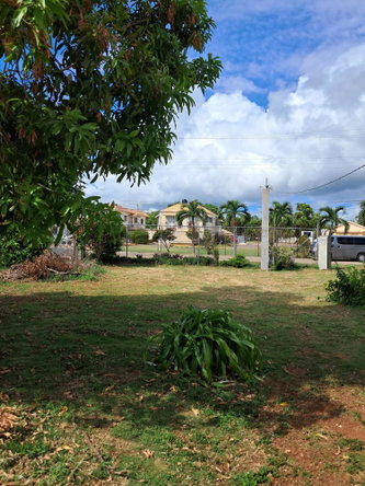 Twenty-Fourth image of Bull Savannah, St. Elizab in Junction, St. Elizabeth, Jamaica - property is For Sale