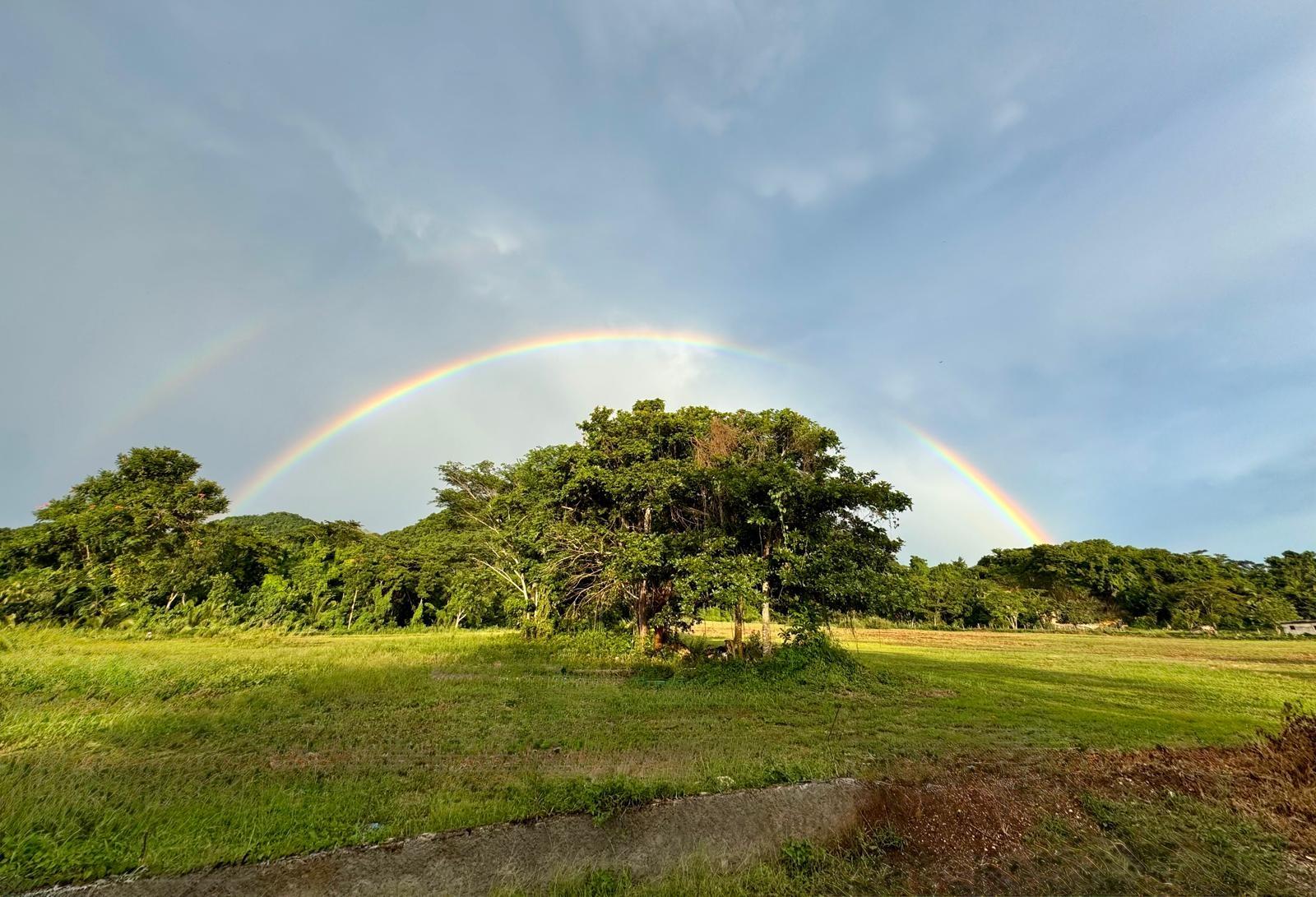 First image of 185 Fort William & Roaring ri in Fort William, Westmoreland, Jamaica - property is For Sale