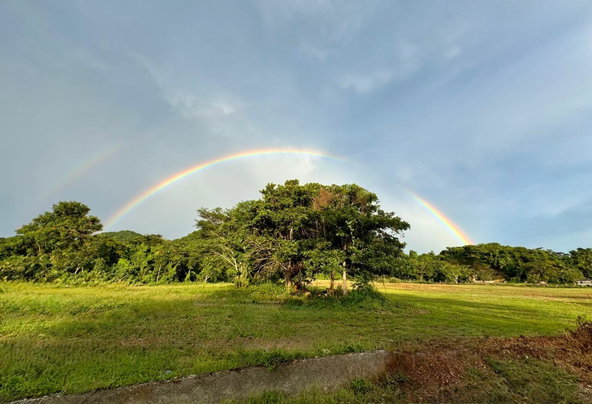 First image of 185 Fort William & Roaring ri in Fort William, Westmoreland, Jamaica - property is For Sale