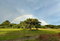 First image of 185 Fort William & Roaring ri in Fort William, Westmoreland, Jamaica - property is For Sale