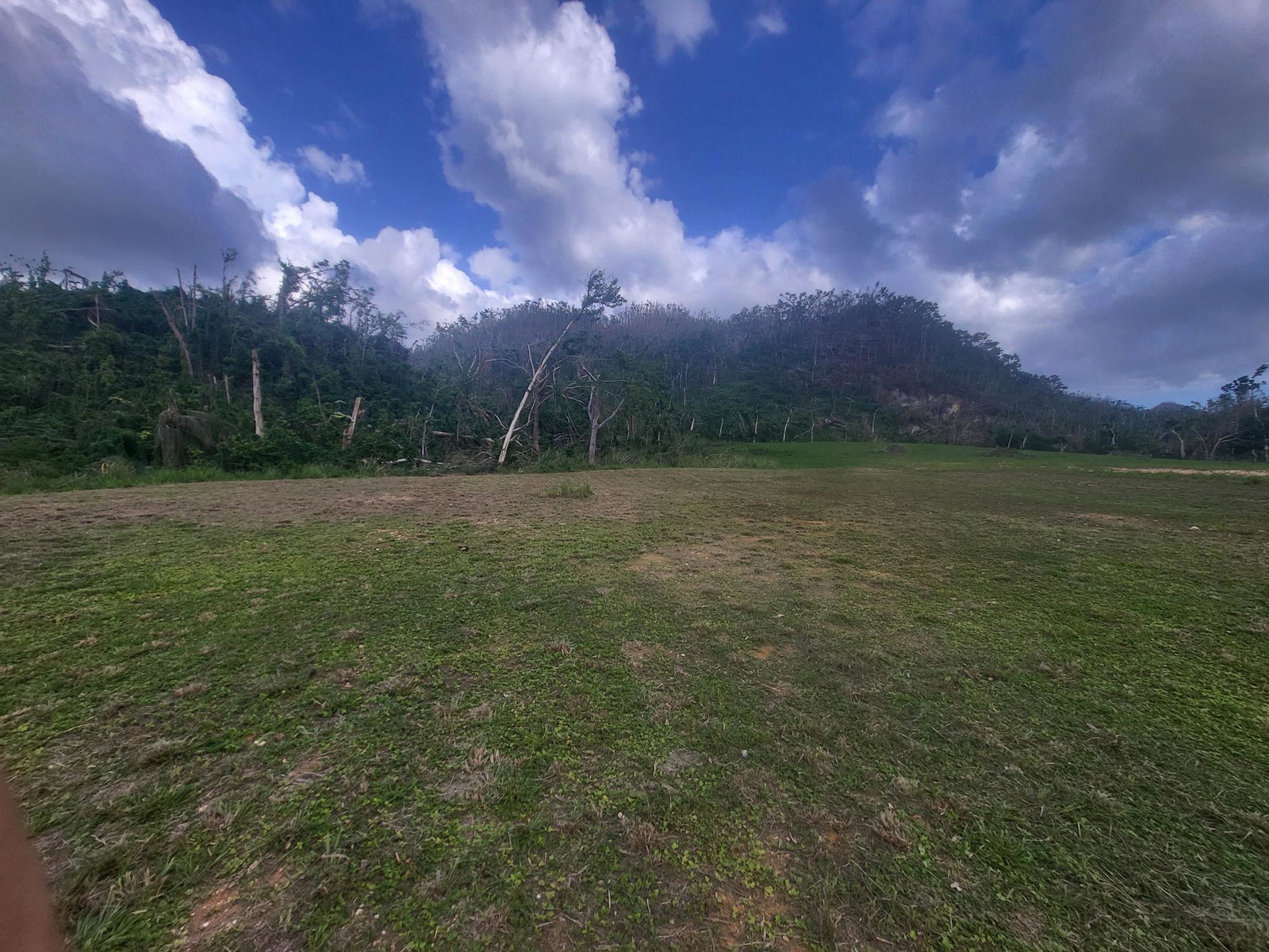 Second image of 185 Fort William & Roaring ri in Fort William, Westmoreland, Jamaica - property is For Sale