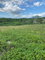 First image of 5b Montpelier Drive in Pepper, St. Elizabeth, Jamaica - property is For Sale